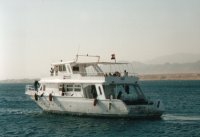 Die Flotte von Duck's Diving